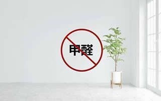 一站式服务：收纳师 日式收纳 除甲醛 办公厂房保洁